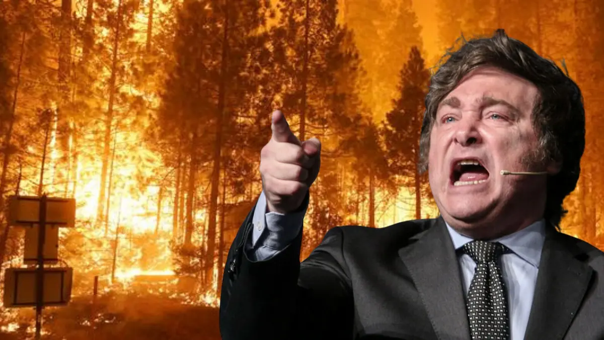 Incendios y ajuste: apuntan contra el Gobierno por el recorte al Servicio Nacional del Manejo del Fuego 1 incendios