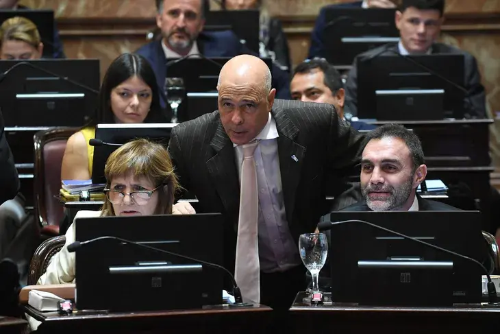 Semana clave en el Senado: tres sesiones y una agenda cargada para el Gobierno 2 Abdala 1