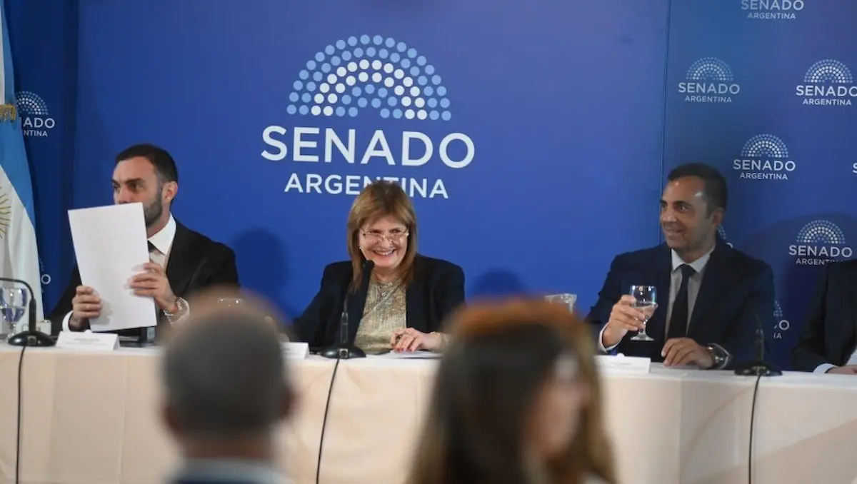 El Congreso en sesiones extraordinarias: las reformas que busca el Gobierno 2 Bullrich Congreso Reforma