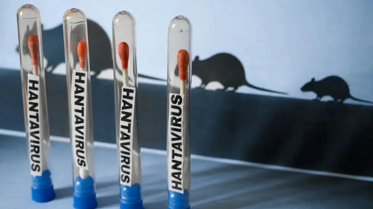 Hantavirus: los casos en Argentina ascendieron a 102 1 Hantavirus