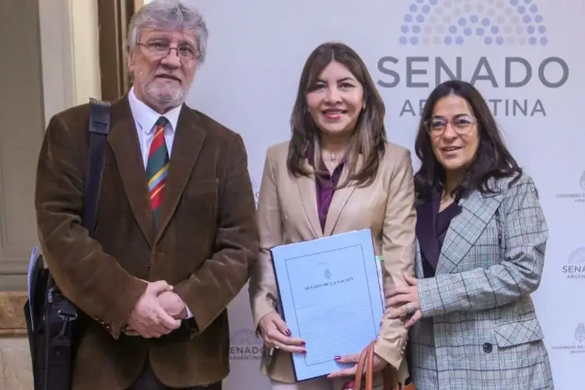 Senadores piden informes por el aumento de las deudas familiares con créditos digitales 1 créditos
