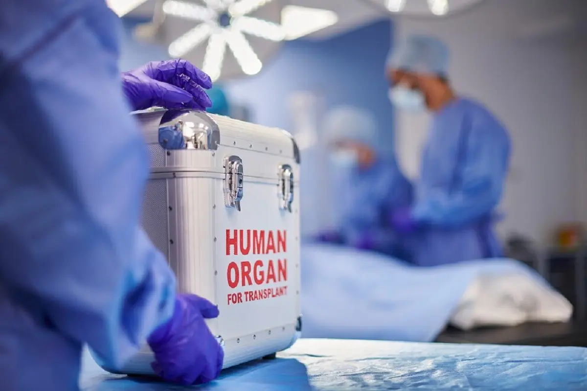 La Ciudad de Buenos Aires concentra casi la mitad de los trasplantes del país y fortalece su red de donación de órganos 1 donación de órganos