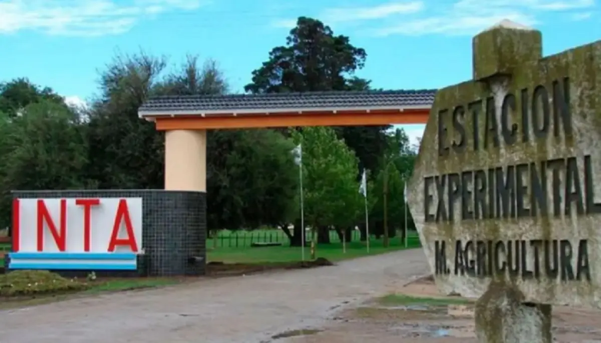 La Justicia suspendió el cierre de una estación experimental del INTA y frenó la venta de sus inmuebles 1 estación