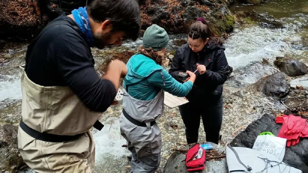 Investigadores alertan sobre el impacto de los incendios forestales en la calidad del agua de la Patagonia 1 incendios