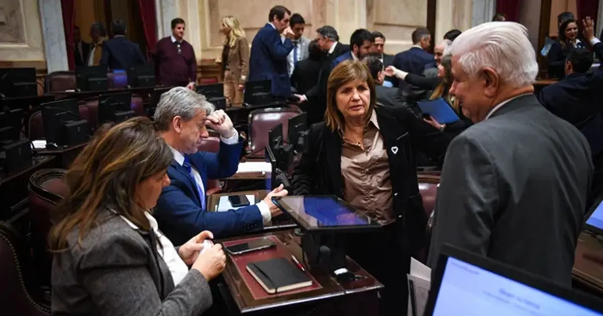 Traspié del Gobierno en el Senado: no se trató la ley de inviolabilidad de la propiedad privada 1 Senado