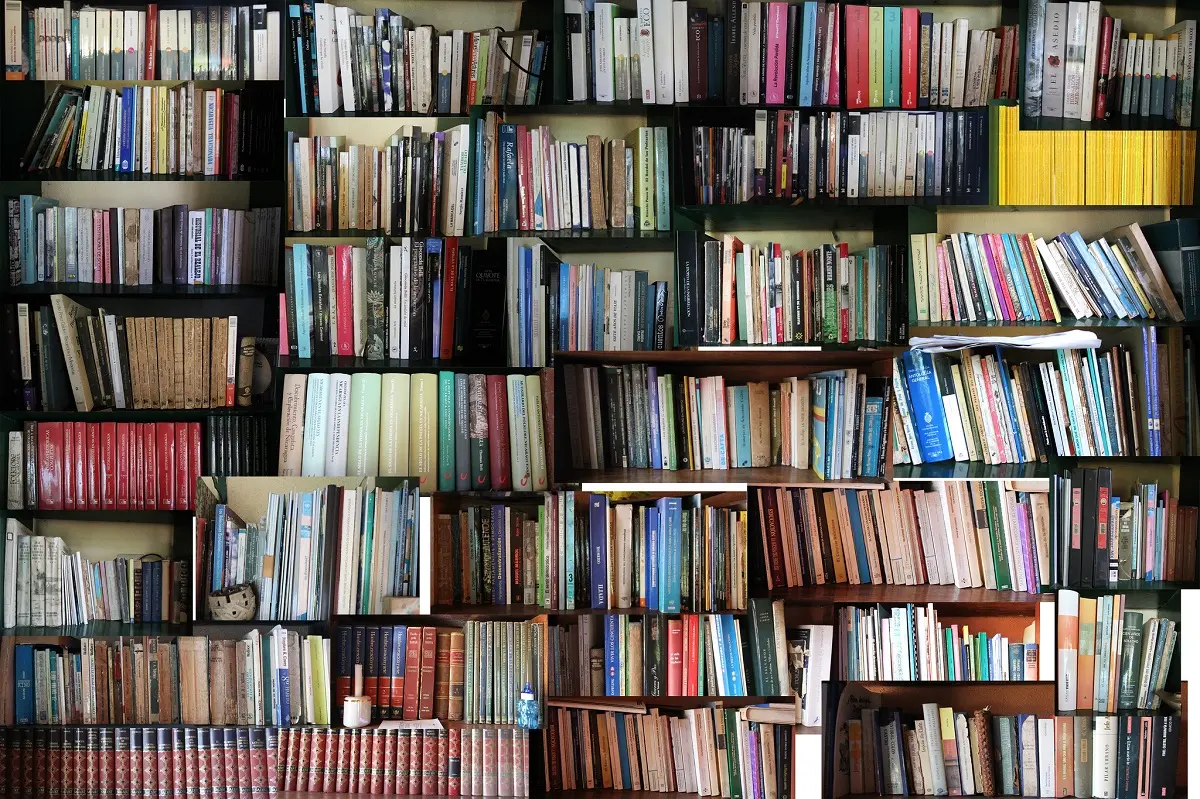 El Gobierno impulsa una amplia reforma para reducir regulaciones 2 libros