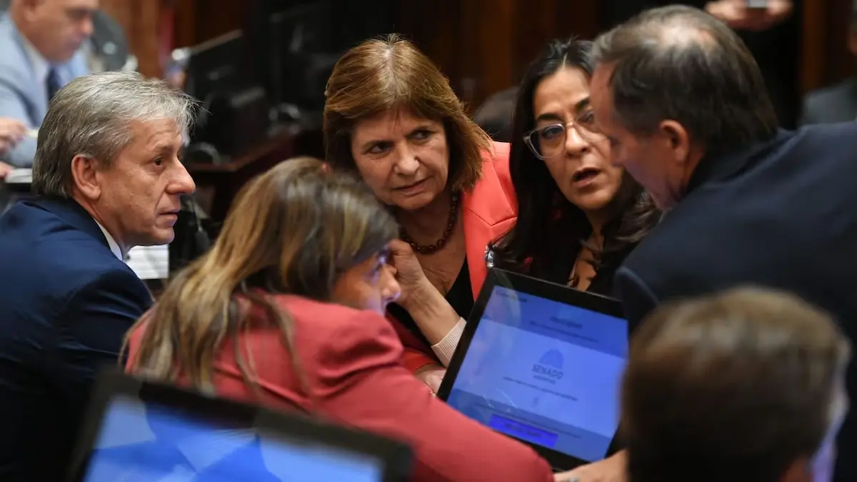 El Senado tratará la Ley de Extranjerización de la Tierra en medio de críticas y marchas 2 Bullrich Senado 2