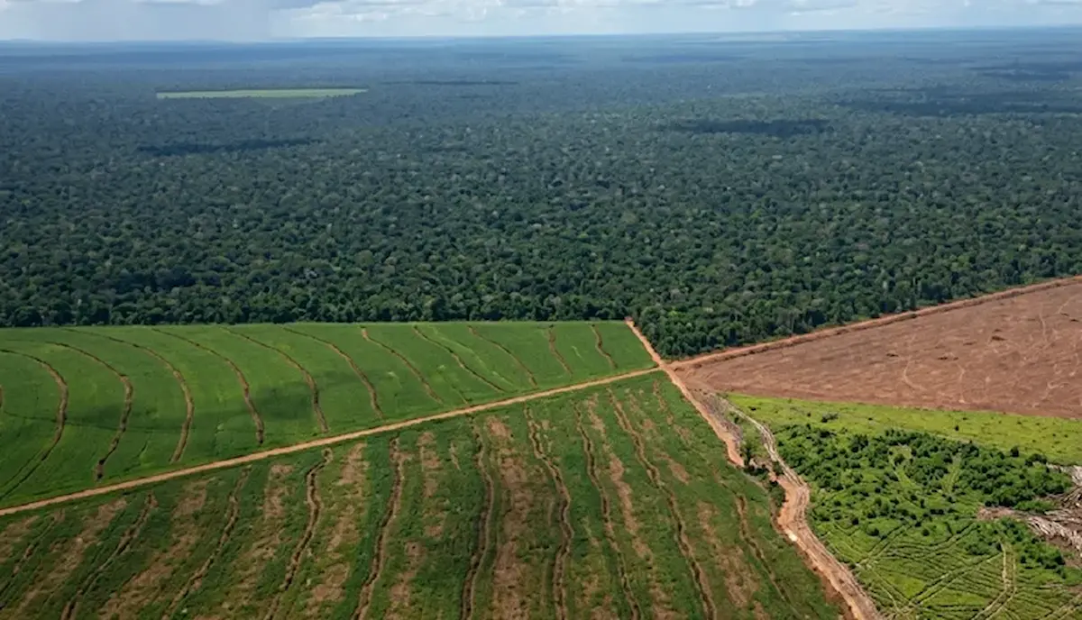 La presión popular y la falta de votos obligaron al Gobierno a retirar el capítulo sobre extranjerización de tierras 1 tierras