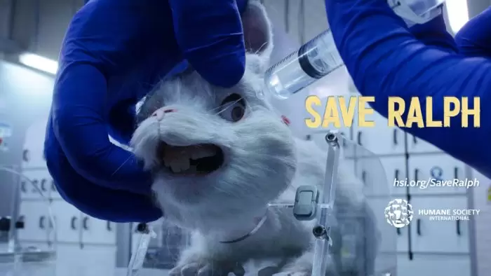 Maltrato animal: testeos y un enorme mercado detrás 1 ralph noelia acuna