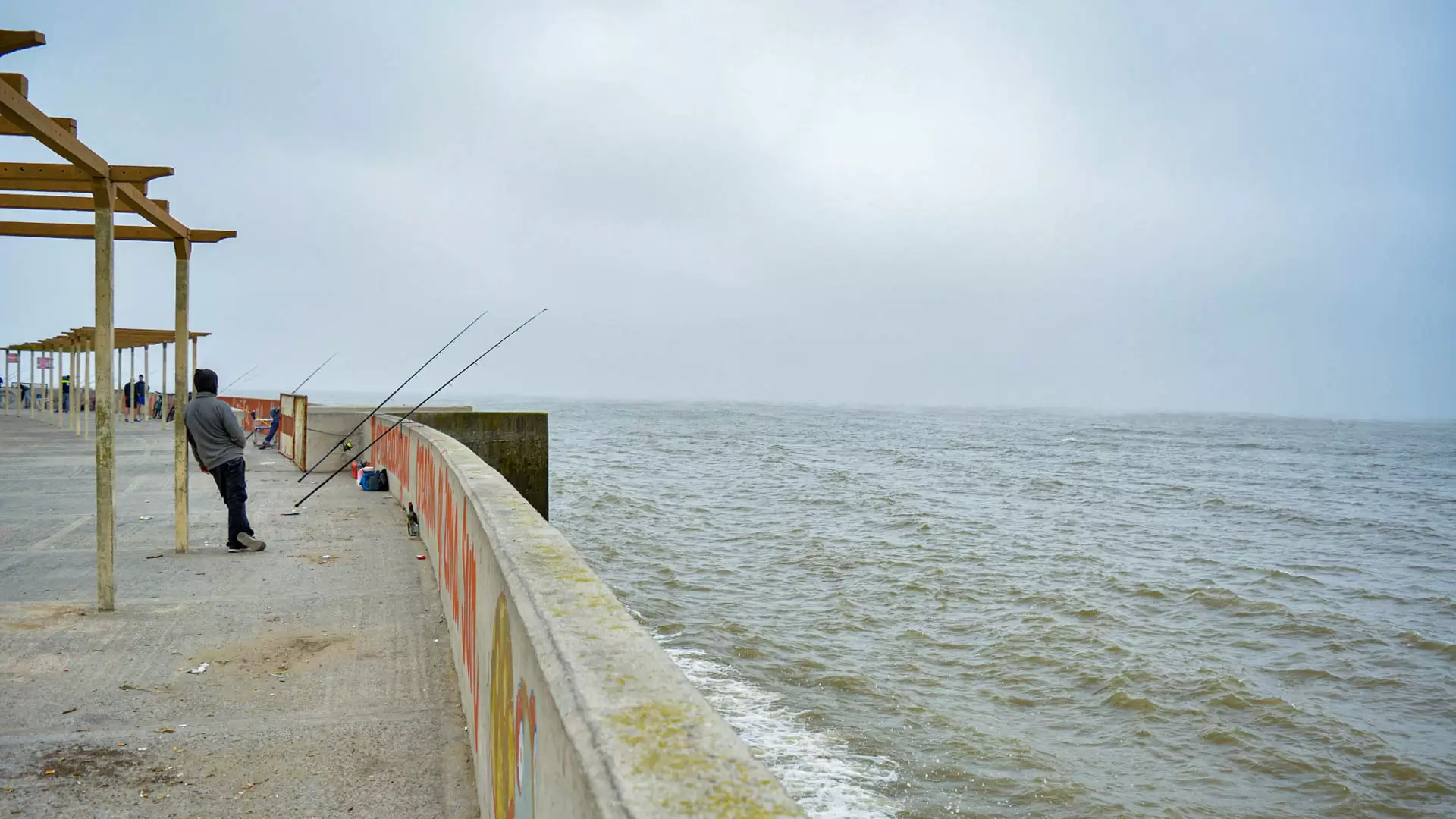 Humedales Hudson: al borde de la extinción 4 4 Murallon de contencion del Rio SOFIA DIAZ