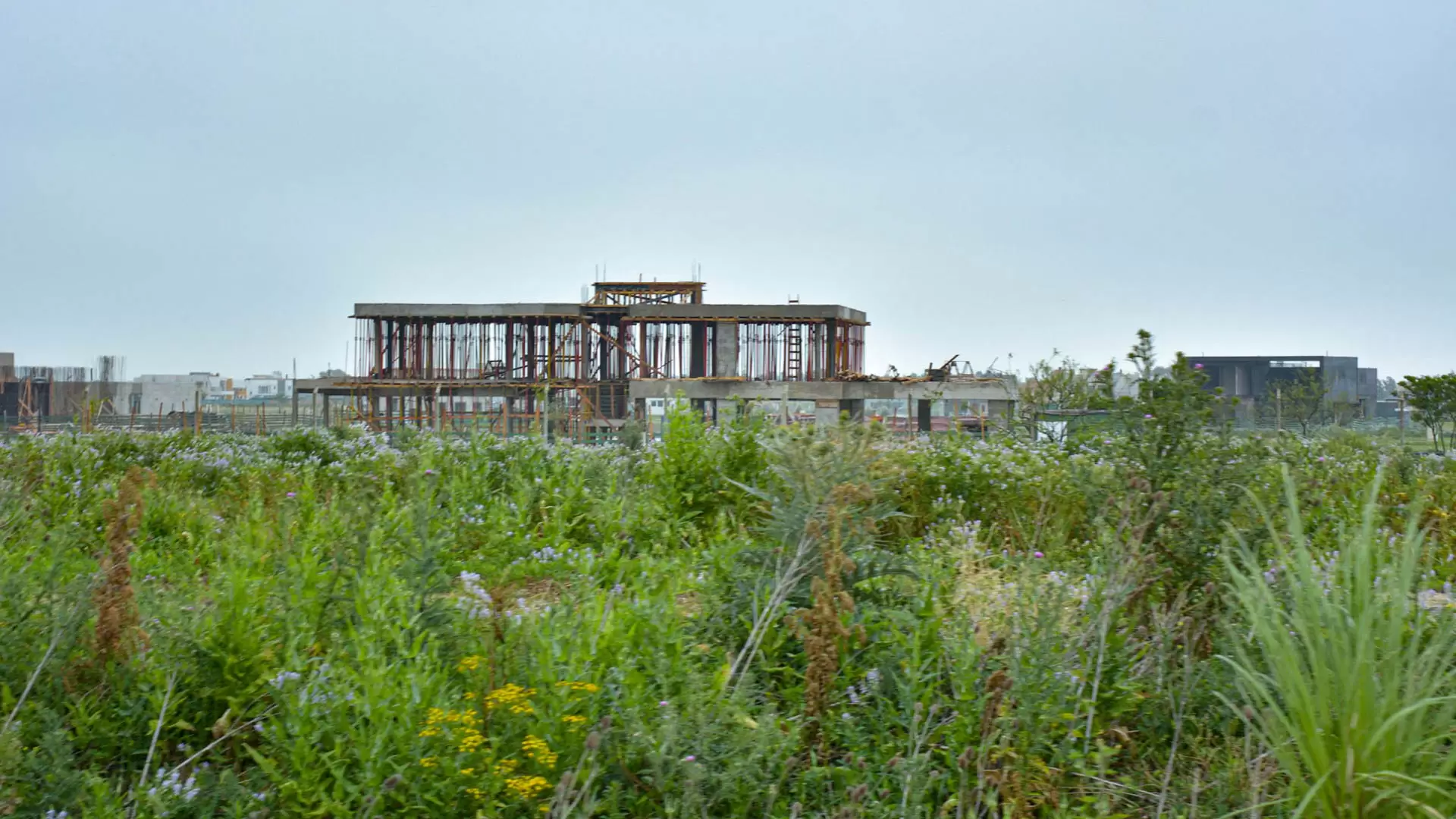 Humedales Hudson: al borde de la extinción 10 5 Construccion dentro de uno de los barrios privados construidos sobre los humedales SOFIA DIAZ