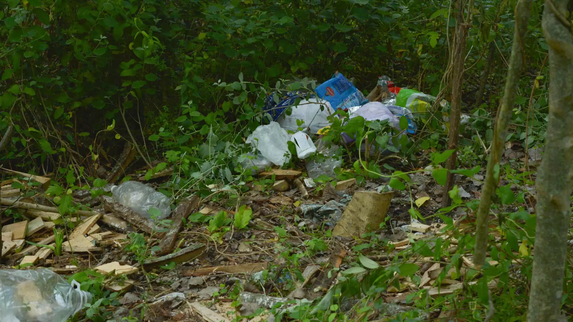 Humedales Hudson: al borde de la extinción 9 8 Foto tomada en los humedales costanera Hudson SOFIA DIAZ