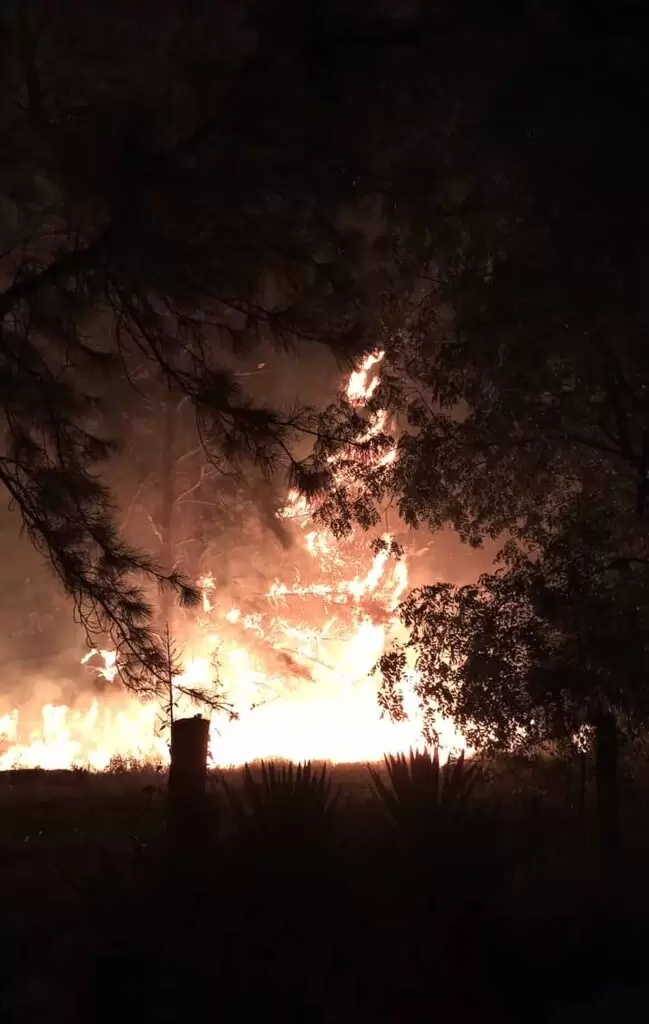 Misiones en llamas: Continúan los incendios forestales 2 2 CREDITOS Pablo Alfonso y Favio Potchka 2