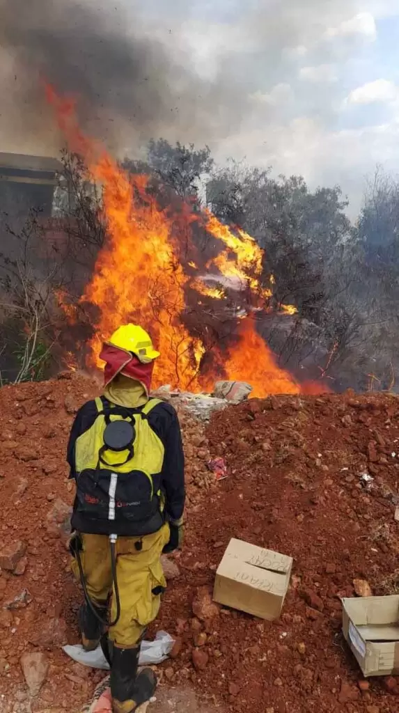 Misiones en llamas: Continúan los incendios forestales 3 3 CREDITOS Pablo Alfonso y Favio Potchka 1