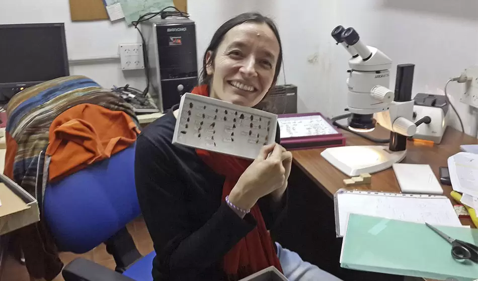 Proyecto Vaquitas, una iniciativa para mapear a las vaquitas de San Antonio en Argentina 2 proyecto vaquitas