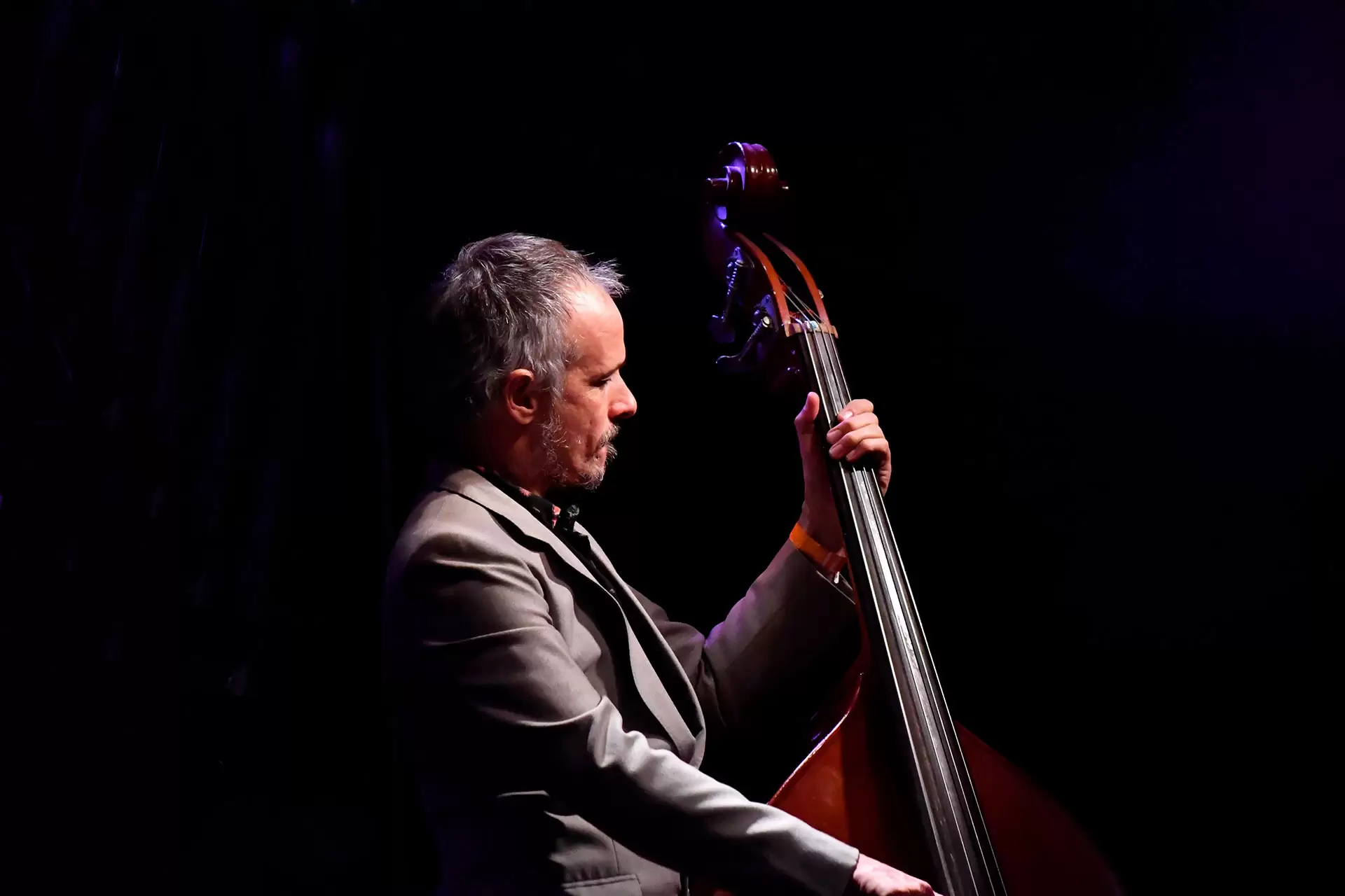 La Familia de Ukeleles: un mágico viaje en el tiempo 3 3 DSC 1632