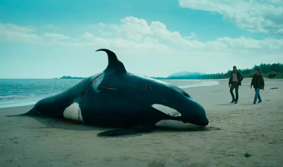 El quinto día, una serie reflexiva sobre la actividad humana y la naturaleza 2 Creditos @derschwarmserie