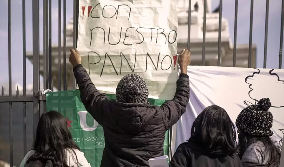 Pan transgénico en las mesas argentinas: molinos ya utilizan el trigo HB4 3 Tierra viva 3 nota