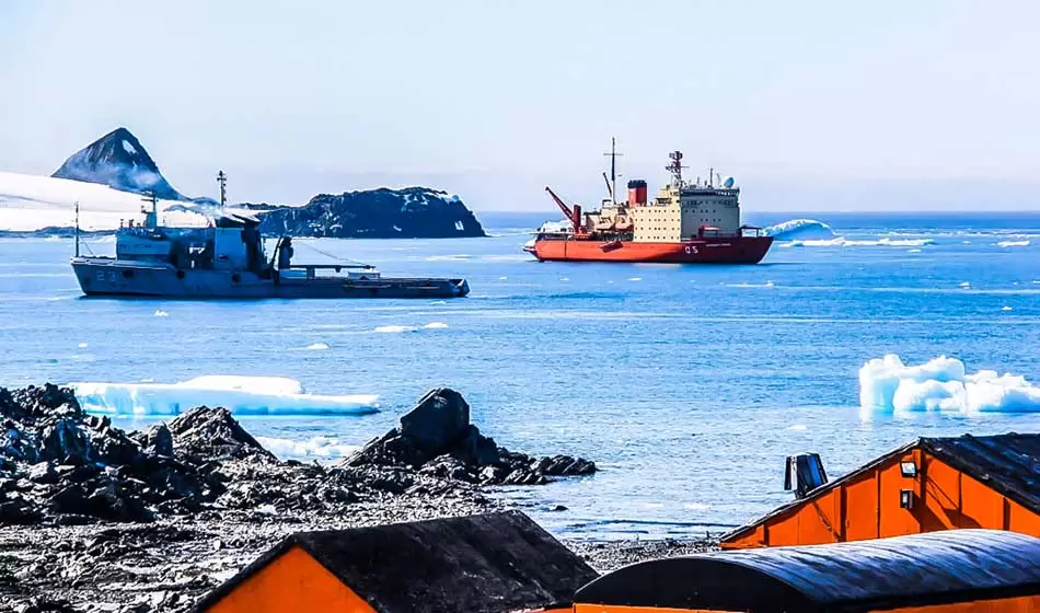 Estafa al Estado nacional: la aduana denunció a Fishing Group por subfacturación en exportaciones a Brasil 3 pesca