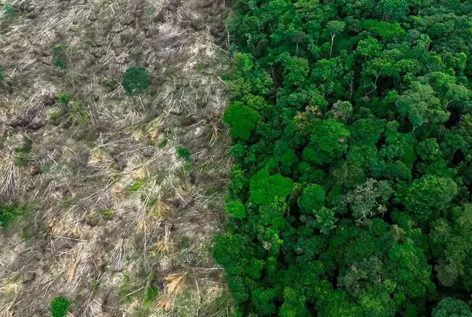 La Cumbre Amazónica: ocho países buscan frenar el deterioro de la Amazonia 2 Amazónica