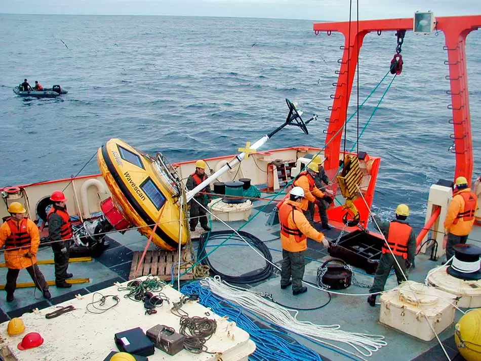 Las ballenas y los delfines, víctimas del cambio climático y la caza ilegal 2 BALLENAS