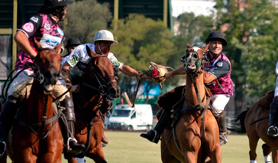 70 años del pato como Deporte Nacional argentino 3 6 buenos aires ciudad