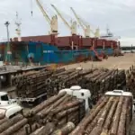 Desde la Federación de Estibadores Portuarios de Argentina denuncian a empresarios por persecución y despidos