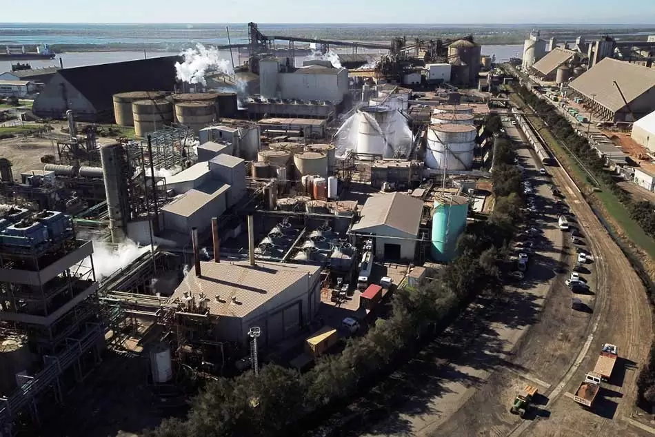 Cosechas robadas: empresas del agronegocio evaden millones de dólares vía Uruguay 4 agronegocio empresas