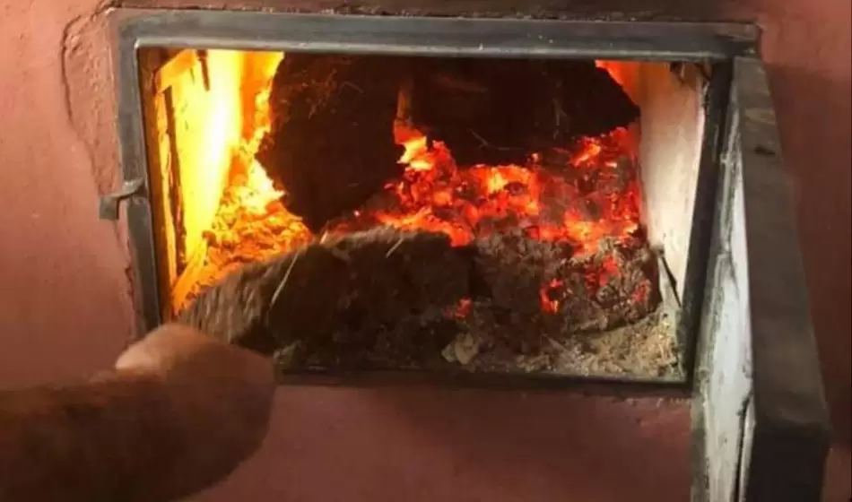 Los bio troncos, un invento argentino que se plantea como alternativa ecológica al carbón y leña 3 En el Alto Valle de Río Negro, la fruta que normalmente se considera “dañada” se destina a la producción de sidra. La pulpa que queda tras pasar por tres rondas de prensado para extraer el jugo se conoce como orujo. Crédito: Facebook Biot Leña de Orujo de Fruta.