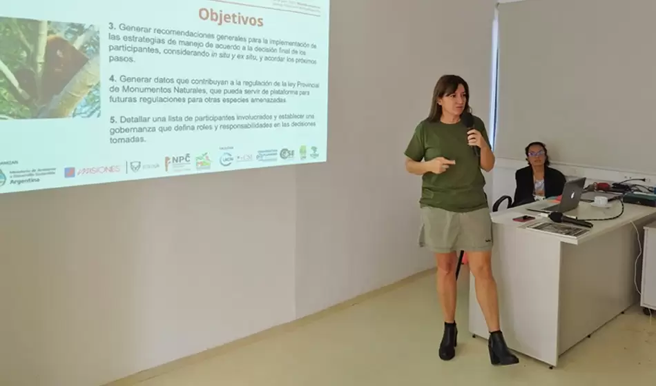 Misiones: un proyecto busca reintroducir al mono aullador rojo para salvarlo de la extinción 2 Mono