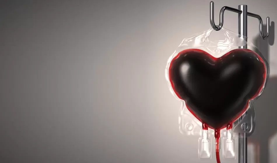 La Argentina celebra el Día Nacional del Donante Voluntario de Sangre 3 Sangre