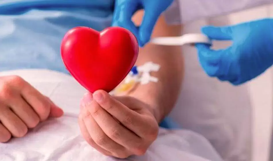 La Argentina celebra el Día Nacional del Donante Voluntario de Sangre 2 Sangre