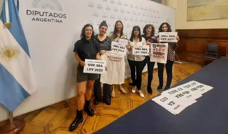 La comunidad artística exige la aprobación de la Ley Nacional de Danza 2 Ley Nacional de Danza