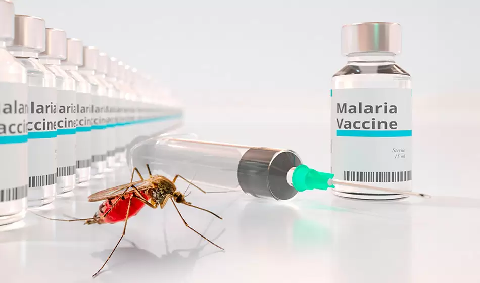 En zonas endémicas, es decir, donde hay transmisión activa de malaria, la OMS recomienda la vacunación. Crédito: Gaceta UNAM