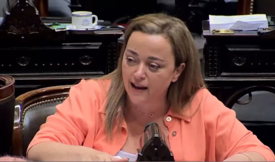 Ley Ómnibus, el primer día de debate sin consenso 2 Ley Ómnibus