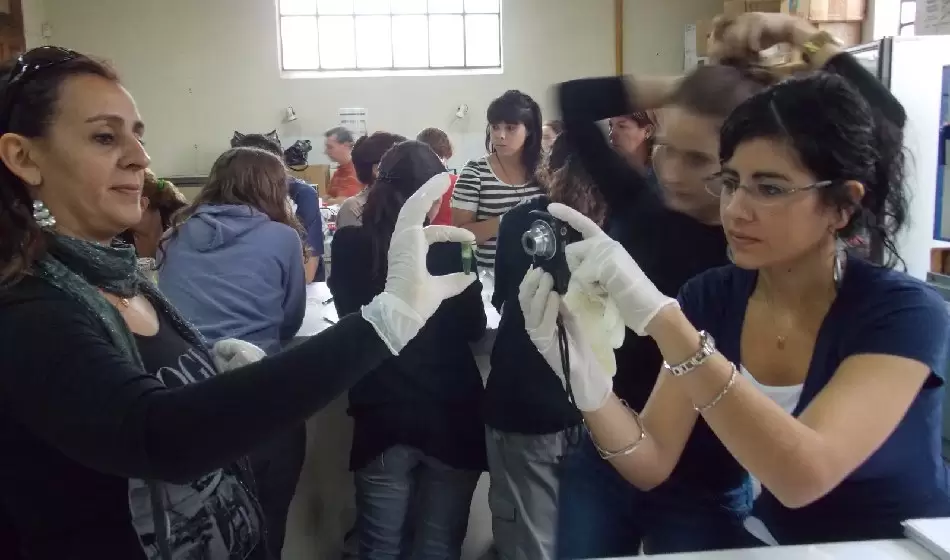 Arranca la cursada de una novedosa Licenciatura en Enseñanza de las Ciencias Biológicas 2 Arranca la cursada de una novedosa Licenciatura en Enseñanza de las Ciencias Biológicas 2