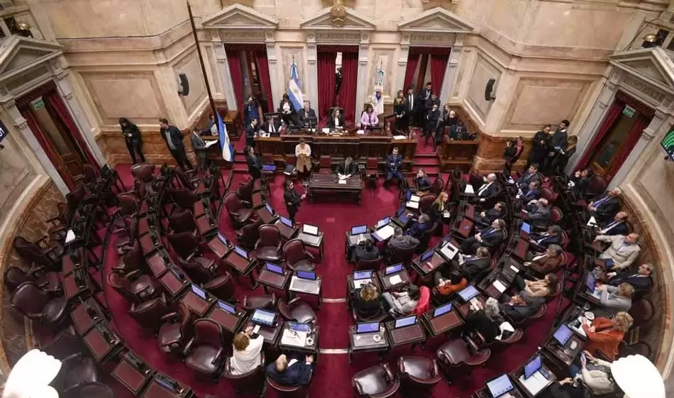 Con polémicas internas, el Senado debate el DNU 2 Diario Cronica nota