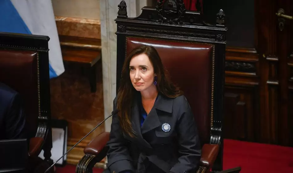 Ajuste y represión, la promo de la Ley de Bases 2 Diario Democracia 01