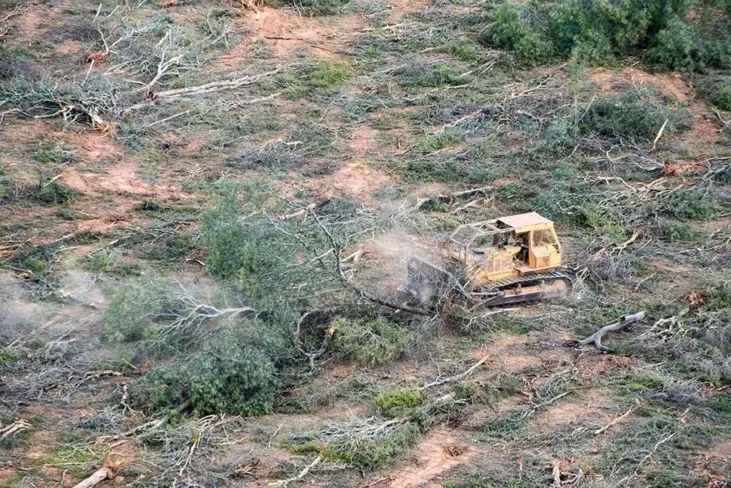 desmontes norte argentino greenpeace 02 1024x683 1