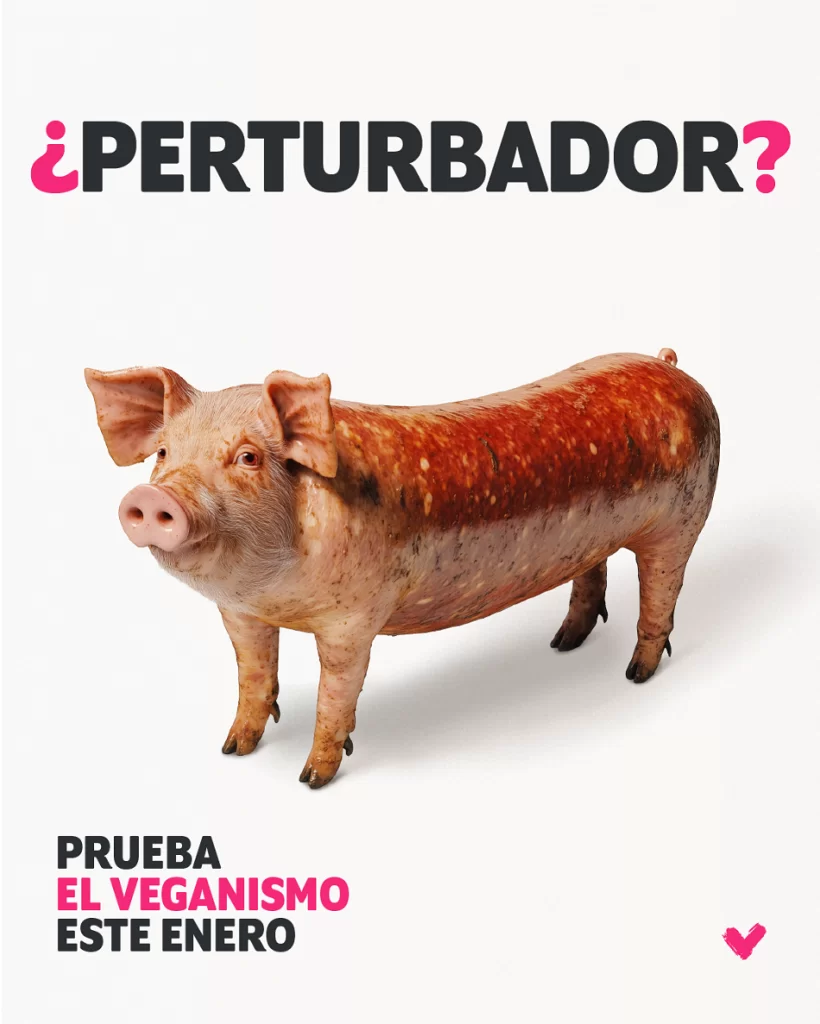 Veganuary lanza su campaña 2025 y se prepara para un nuevo Enero Vegano 2 Veganuary