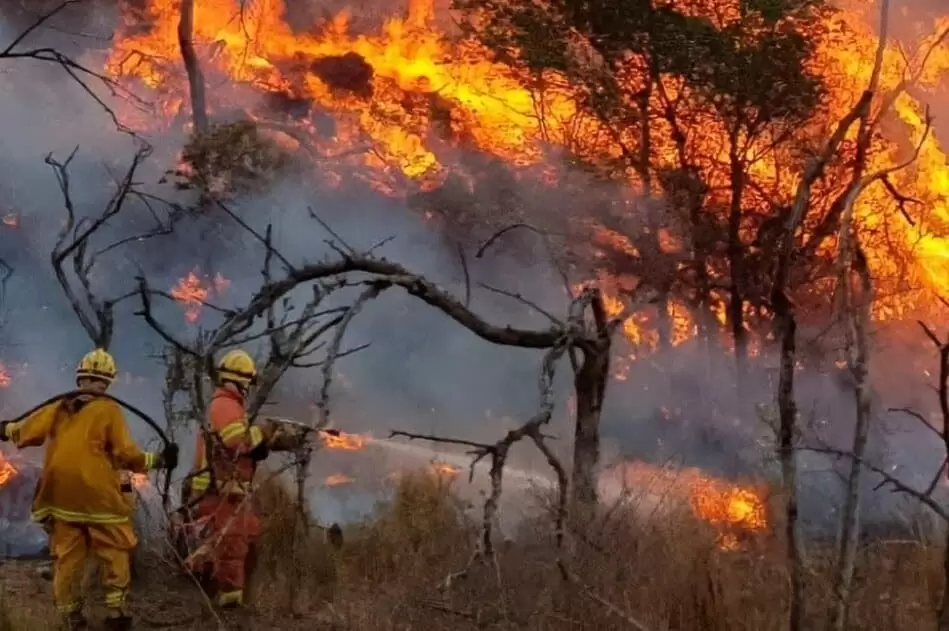 El gobierno declaró a la RAM como organización terrorista 2 in1739528982999 1
