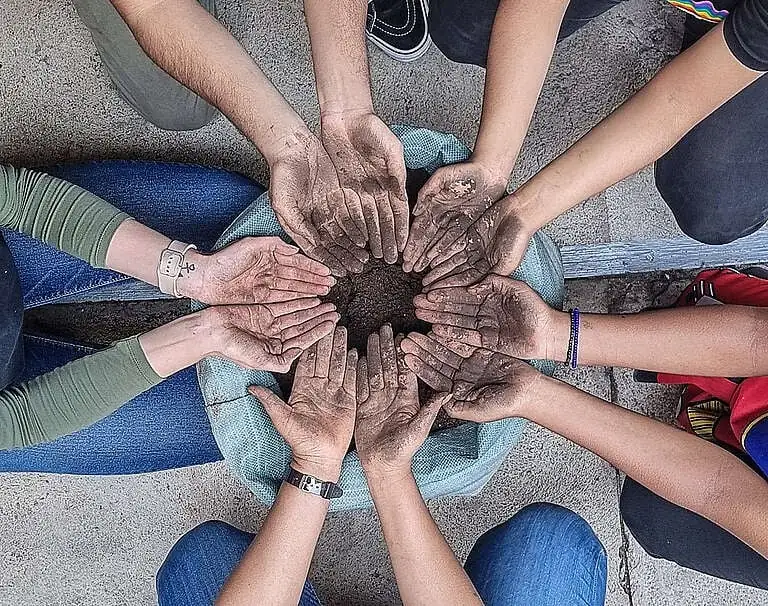 b7fe39a8 gp0su3bud © greenpeace 768x606 1