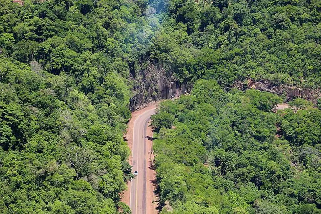 Sandías de la cuenca del Cuña Pirú: un tesoro productivo en Misiones 4 produccion sandia cuna piru 04 1024x684 1