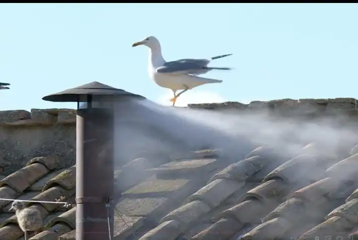 Habemus Papam: León XIV será el 267° Papa, el primero estadounidense 2 Papa