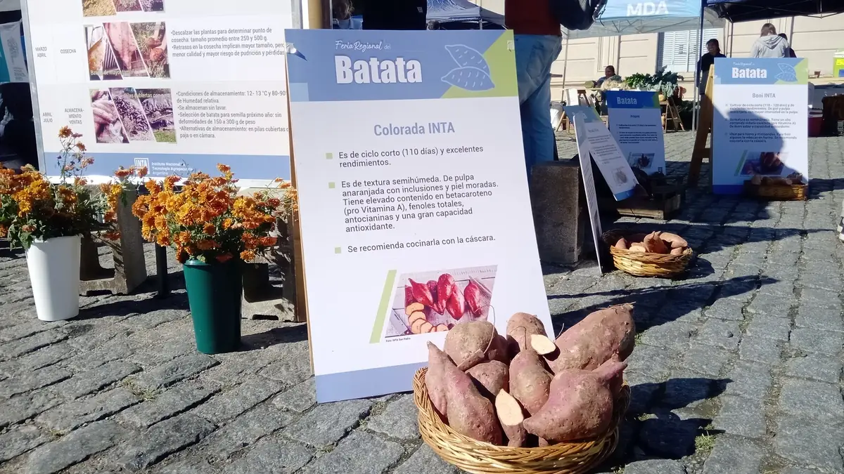 La reina Batata llegó a La Plata 1 batata